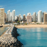 Diseño sin título (68)